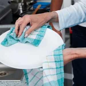 Dish Cloth